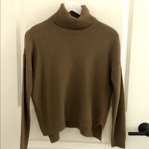 Zara Turtleneck Sweater